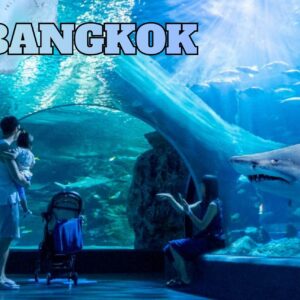 ซีไลฟ์ แบงคอก
